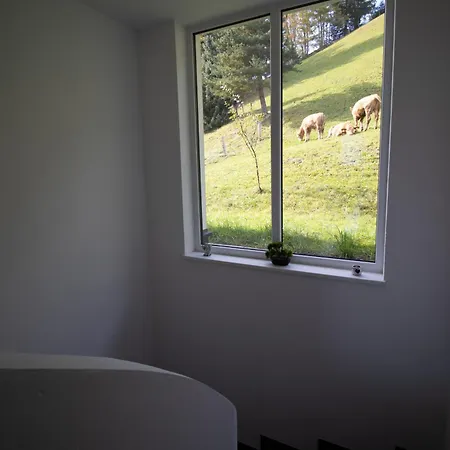 Waldberg * Wald im Pinzgau
